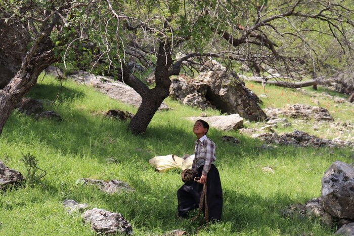 نازول نماینده سینمای ایران در جشنواره فیلم هرتسگ نووی