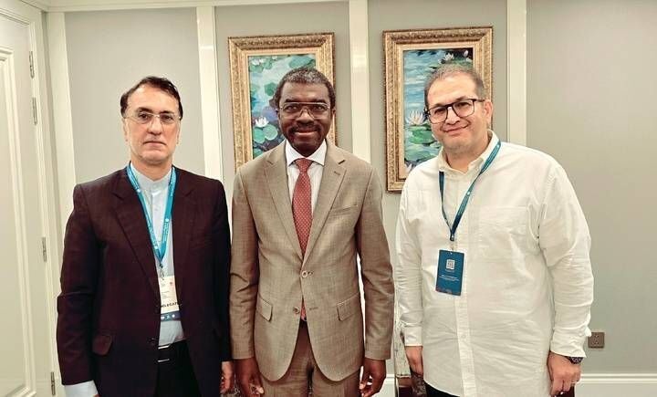تاکید ایران و یونسکو بر تقویت همکاریهای بینالمللی برای حفاظت از میراث جهانی ایران